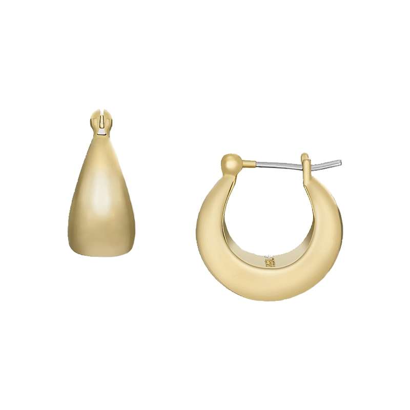 Fossil Jewels Women's Earrings (ja7142710)