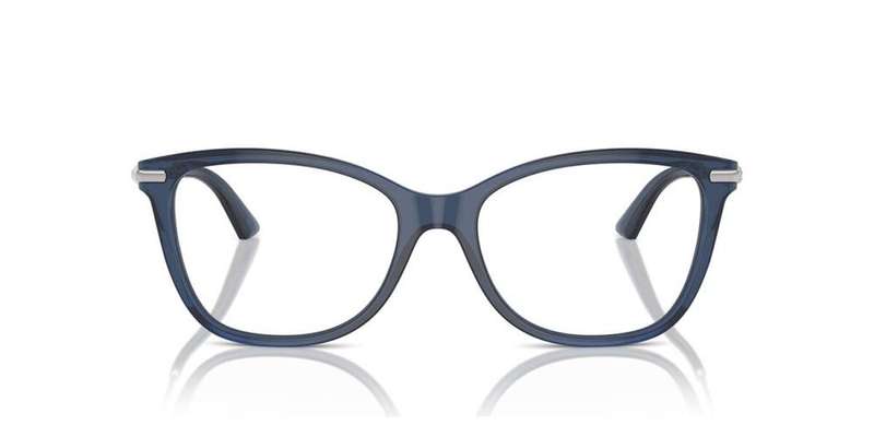 Jimmy Choo Jc 3007hb (JC 3007HB_5035_54) Women's EYEWEAR