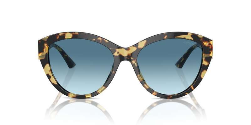 Jimmy Choo Jc 5007 (JC 5007_500419_55) Women's EYEWEAR
