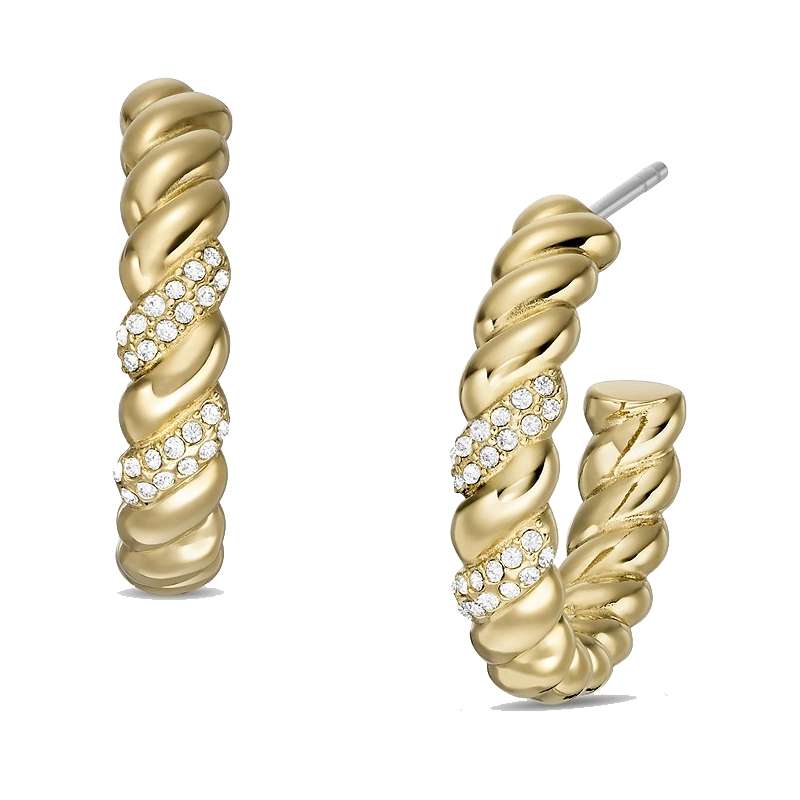Fossil Jewels Women's Earrings (JF04170710)