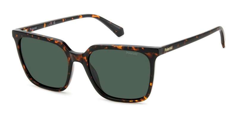Polaroid Pld 4163_s (PLD 4163_S_086-UC_55) Women's EYEWEAR