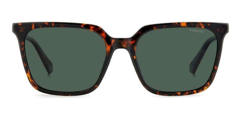Polaroid Pld 4163_s (PLD 4163_S_086-UC_55) Women's EYEWEAR