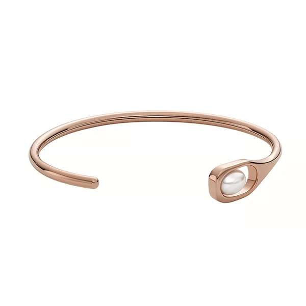 Skagen Denmark jewels jewelry skj1748791 (skj1748791)