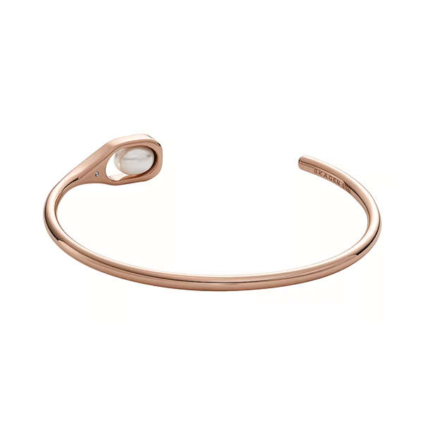 Skagen Denmark jewels jewelry skj1748791 (skj1748791)