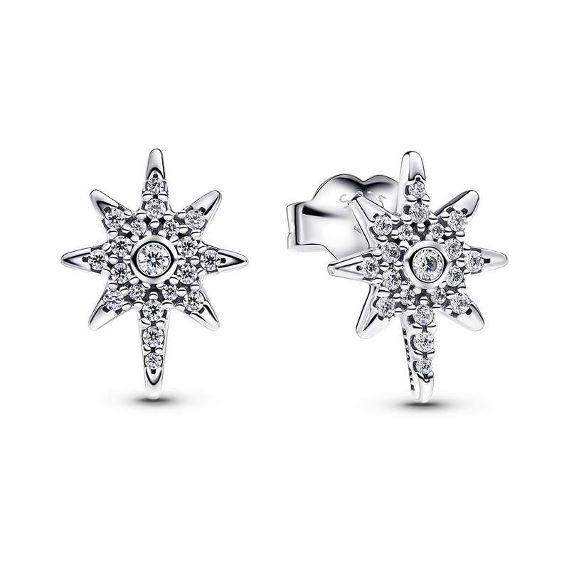 Pandora Women's Earrings (293587C01)