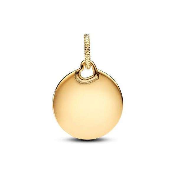 Pandora Women's Charm Link (368610C00)