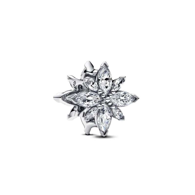 Pandora Women's Charm Link (793591C01)