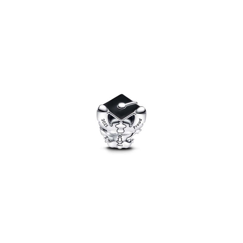 PANDORA JEWELRY 793789C01 (793789C01)