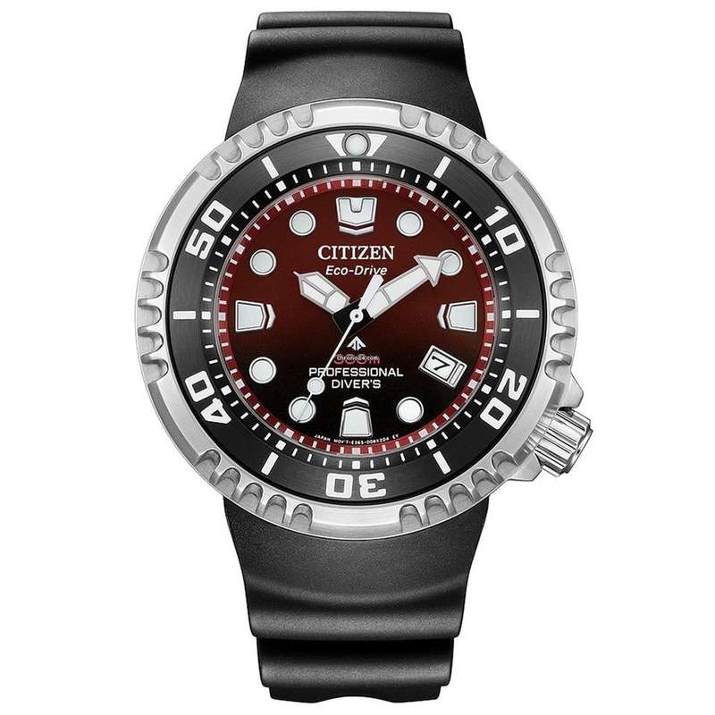 CITIZEN WATCHES BN1024-01Z (BN1024-01Z)