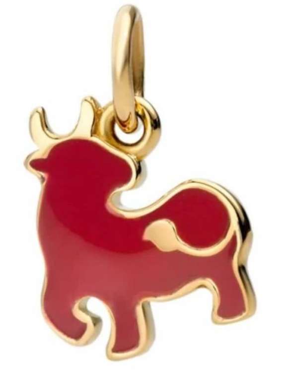 CHARMS DODO DMC1000ZBULSRROOG (DMC1000ZBULSRROOG)