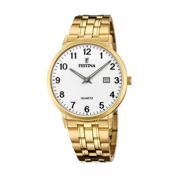 FESTINA CLASSICS (F20513_1)
