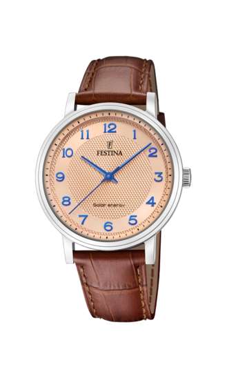 Festina Men's Watch (F20660_2)