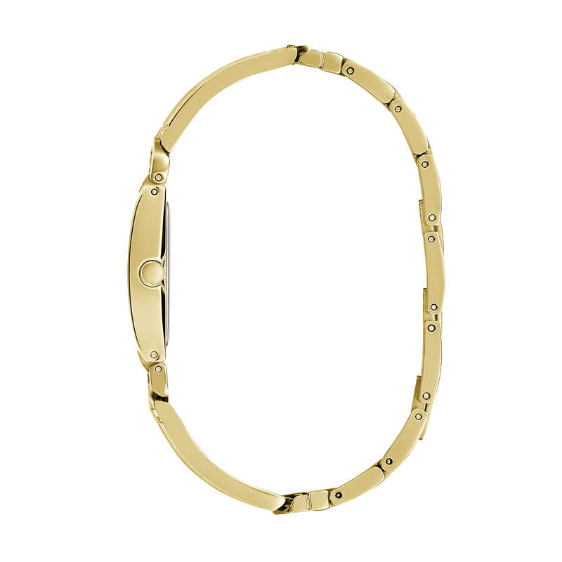 GUESS WATCHES GW0668L2 (GW0668L2)