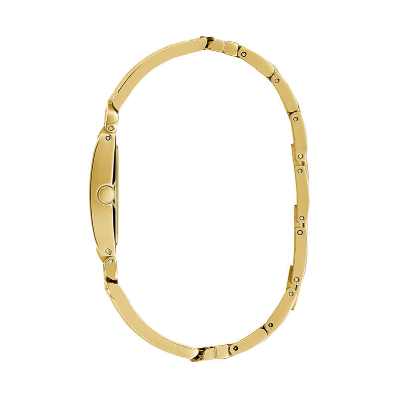 Guess Women's Watch (gw0807l2)