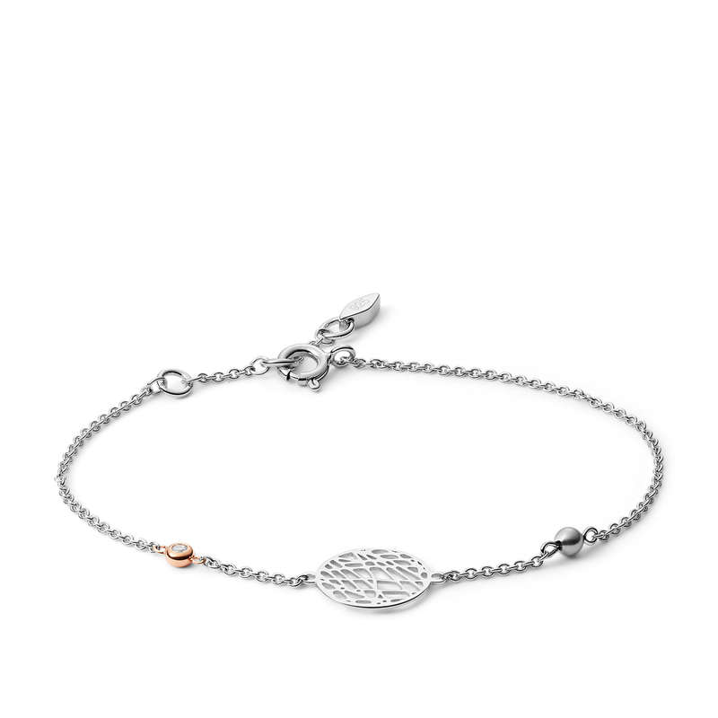 FOSSIL JFS00487998 (JFS00487998)