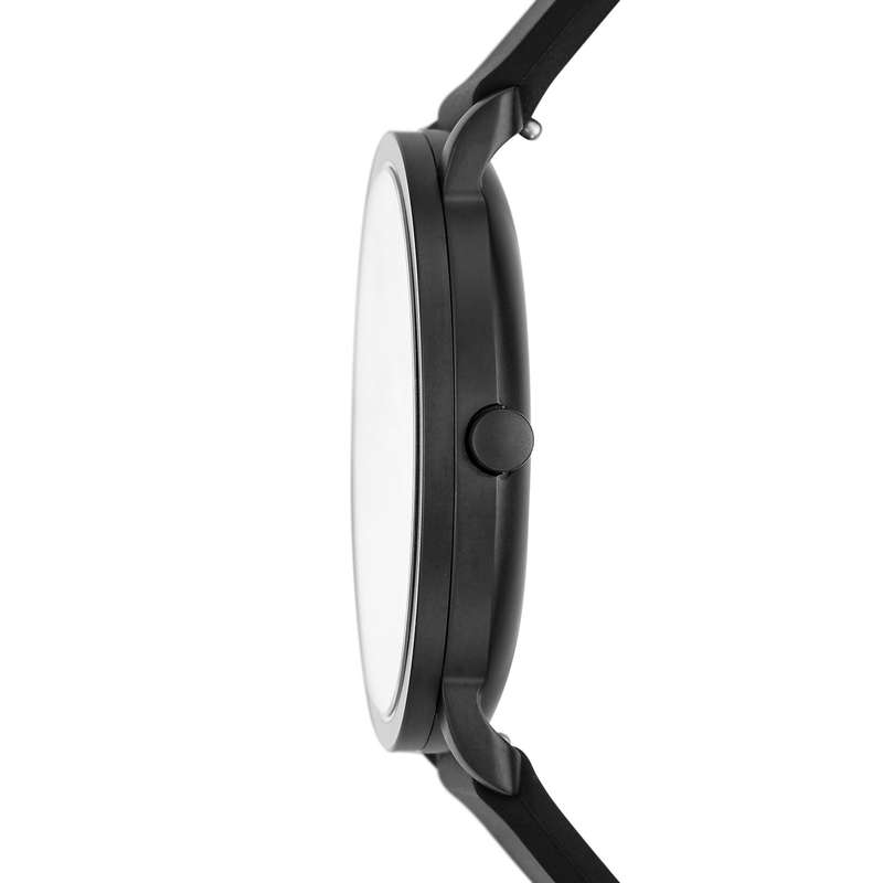 SKAGEN DENMARK COLDEN (SKW6612)
