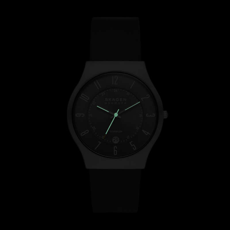 SKAGEN DENMARK SUNDBY TITANIUM (SKW6909)