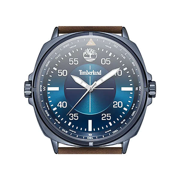 Timberland Men's Watch (tdwga2132001) - williston Collection