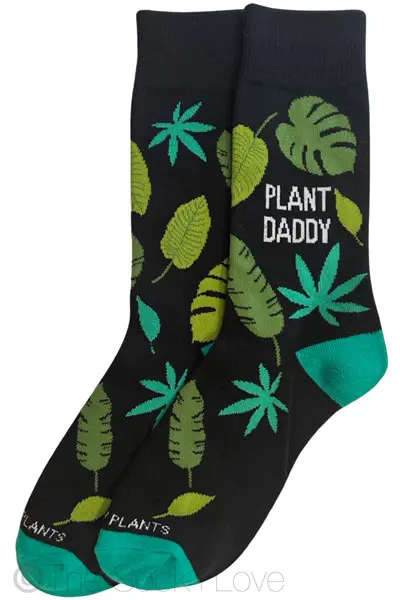 Plant Daddy
