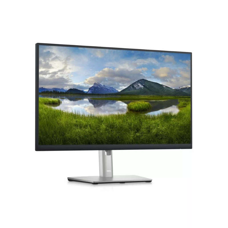 Dell P Series P2423D 24-inch 2560 x 1440p QHD 16:9 60Hz 5ms IPS LCD Monitor