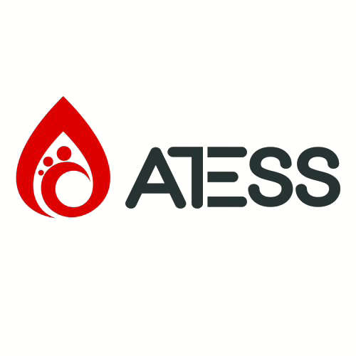 Atess Smart Meter