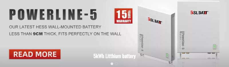 BSL Battery 51.2V - Powerline 100Ah  (5.1 KWh) Wall Mount