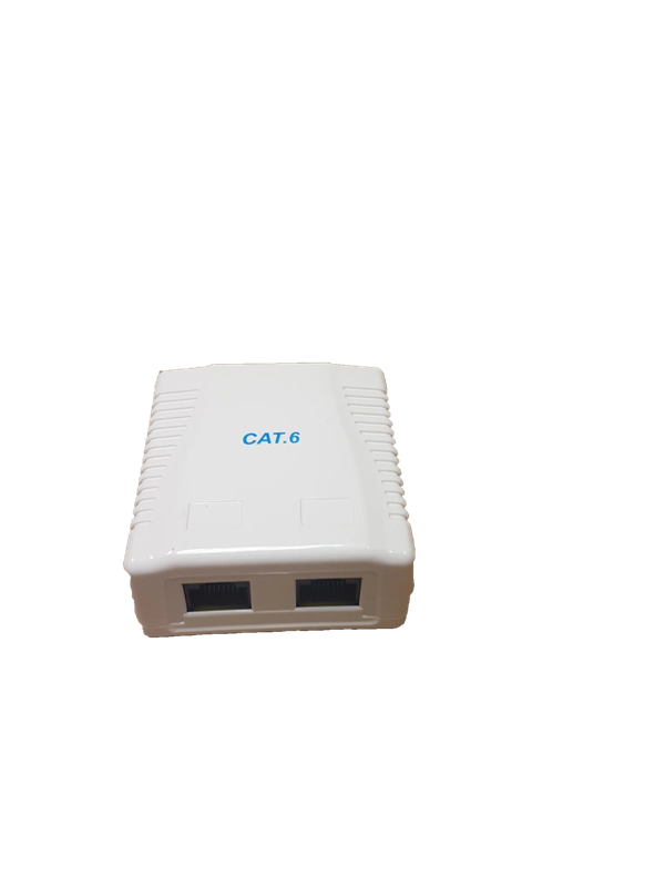 RCT- CAT6 Wall Box Dual Port