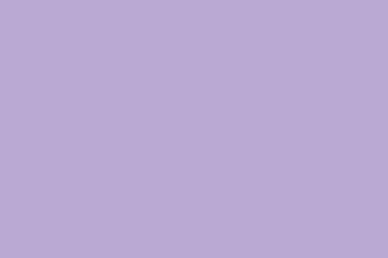 2004895 - Cricut Everyday Iron-On 12X24'' (Lilac)