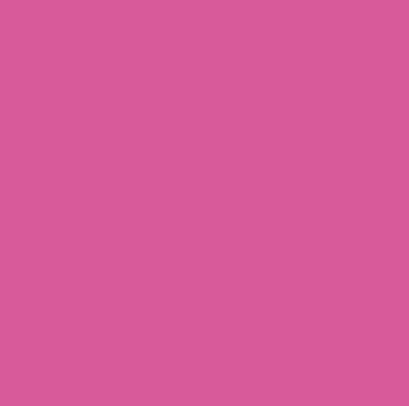 2007487 - Cricut Infusible Ink Transfer Sheets 2-pack (Party Pink) 12x12