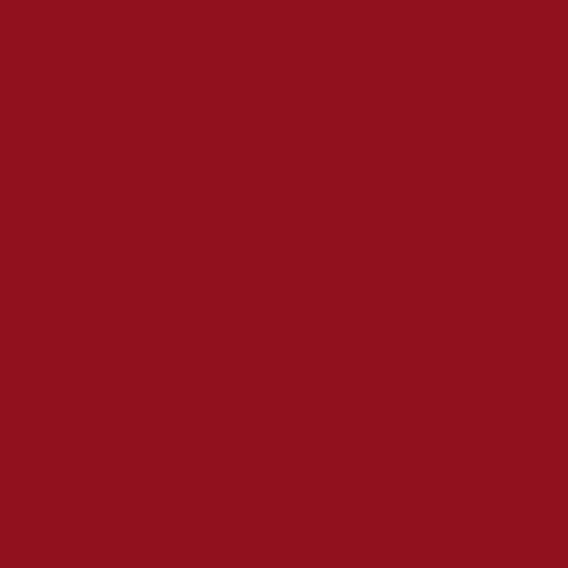2007698 - Cricut Everyday Iron-On 30x60cm (Red).