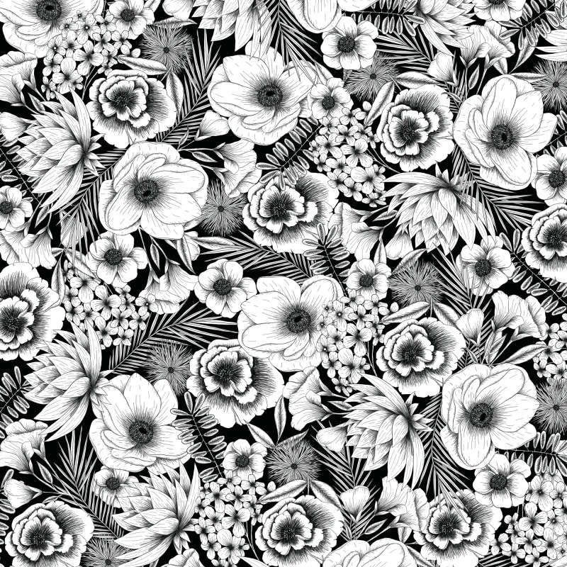 2006781: Cricut infusible ink Transfer Sheets 2-Pack (Black Botanicals)