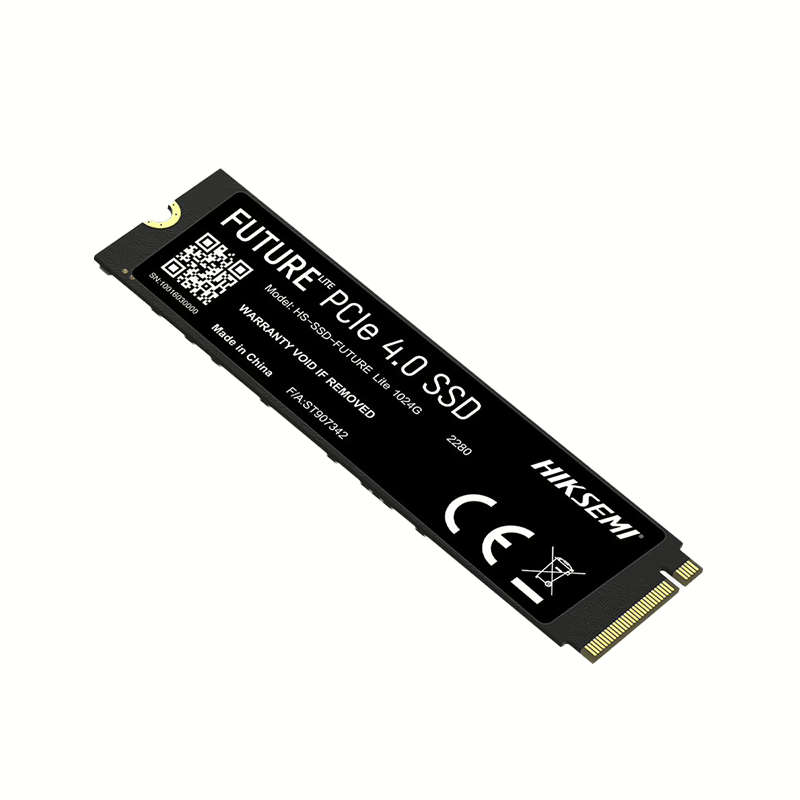 Hikvision Future Lite 1TB Gen4 M.2 NVMe 3D NAND SSD