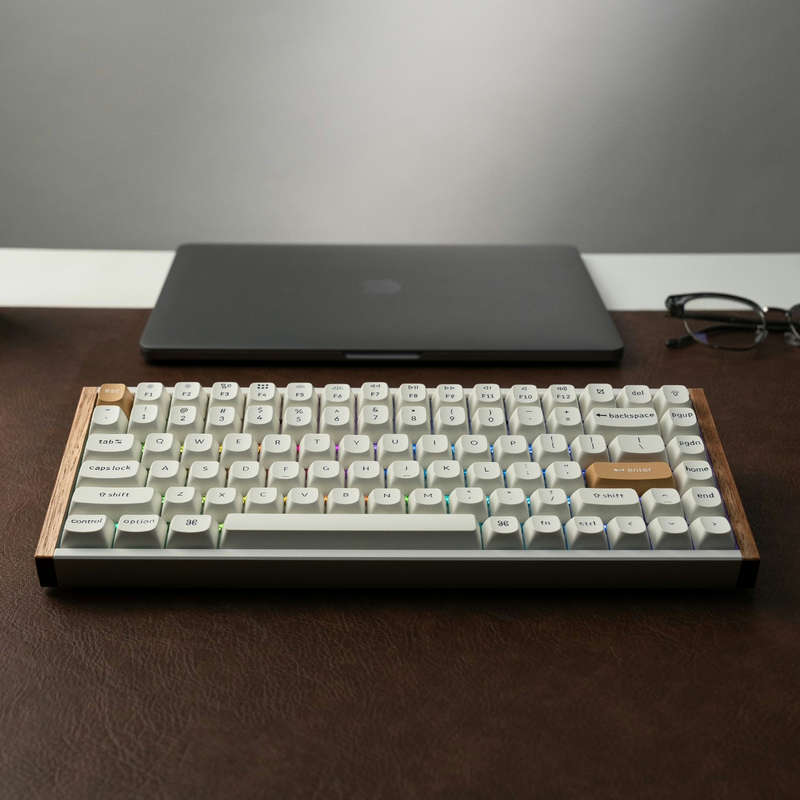 Keychron K2 HE Wireless Special Edition Magnetic Custom Keyboard | NEBULA Switch  White