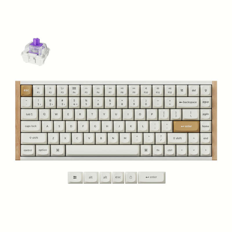 Keychron K2 HE Wireless Special Edition Magnetic Custom Keyboard | NEBULA Switch  White