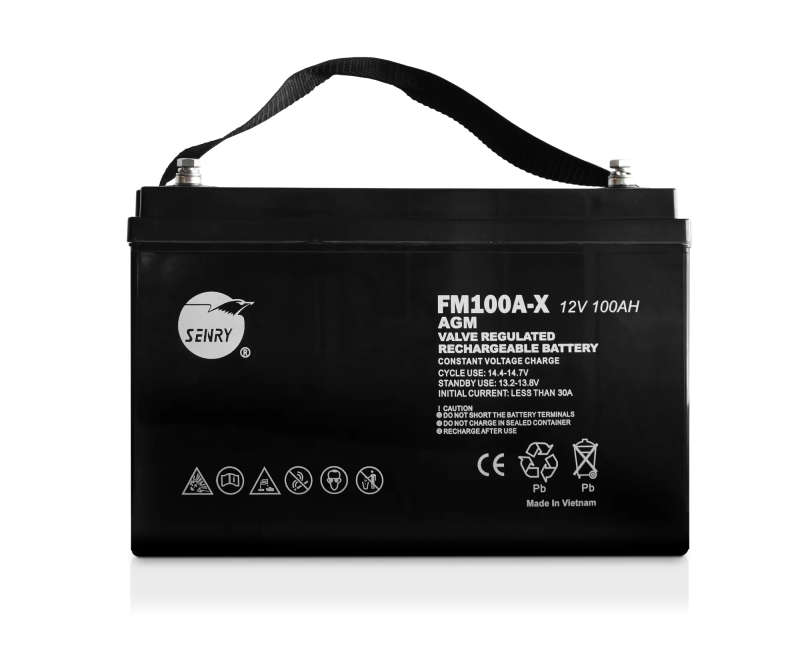 RCT SENRY 6FM100A-X 12V 100Ah DEEP CYCLE AGM BATTERIES
