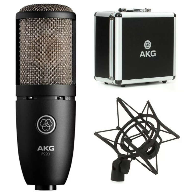 AKG P220 Project Studio Large Diaphragm Condenser Microphone