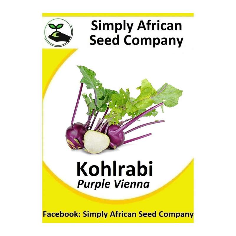 Kohlabri (Purple Vienna) Seeds