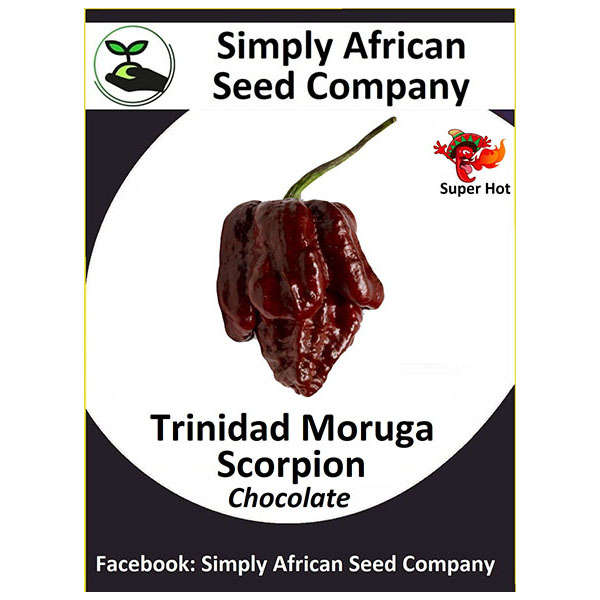 Chocolate Trinidad Moruga Scorpion Seeds