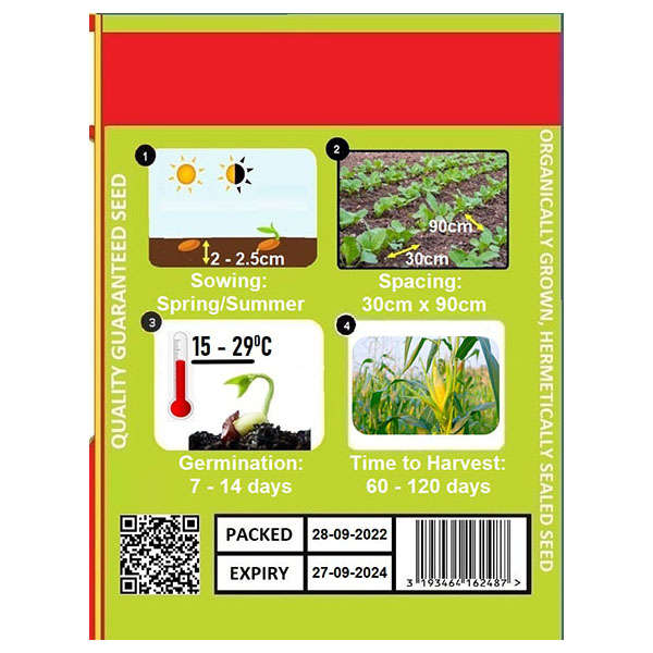 Sweet Corn Seeds