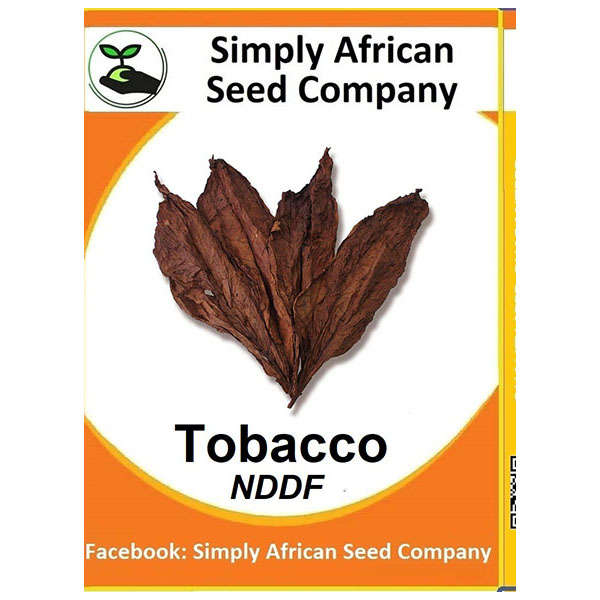 Tobacco (Virginia) NDDF Seeds