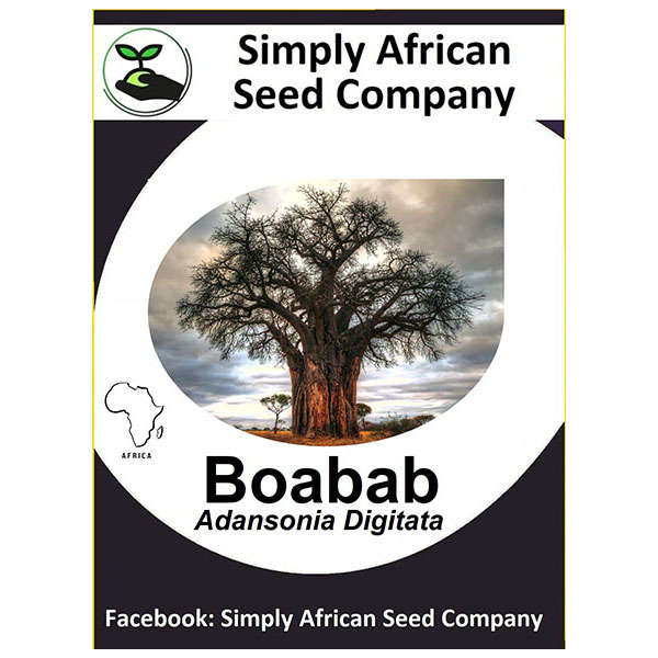 Baobab (Adansonia Digitata) Seeds