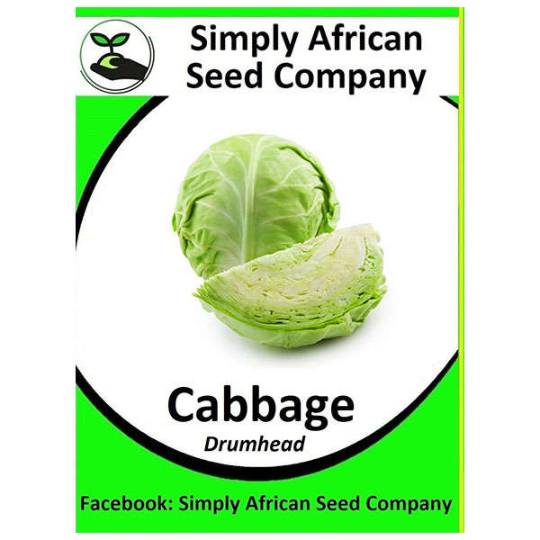 Cabbage Drumhead