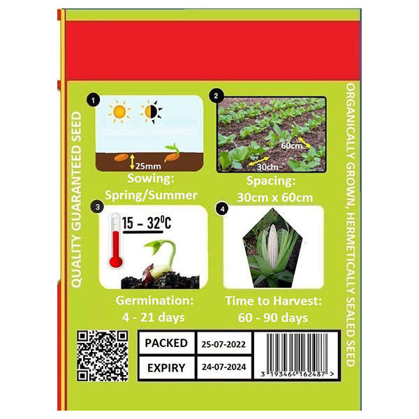 Maize White Zama Star Seeds