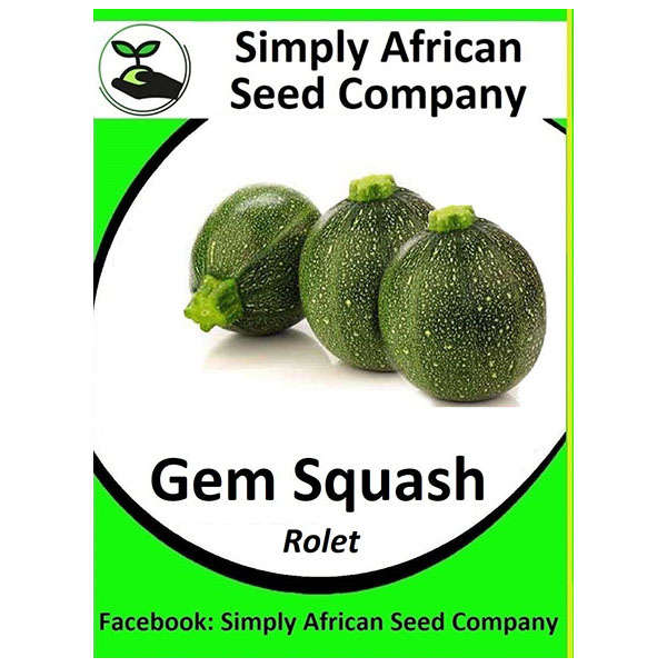 Squash Gem Rolet Seeds