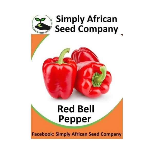 Red Bell Pepper Seeds