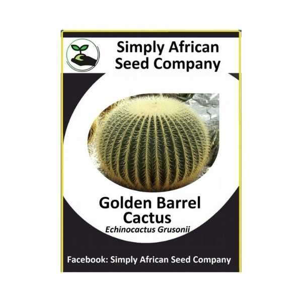 Golden Barrel Cactus (Echinocactus Grusonii) 20's