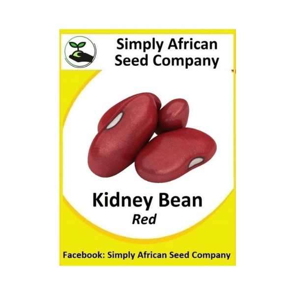 Beans Red Kidney Seeds 20's