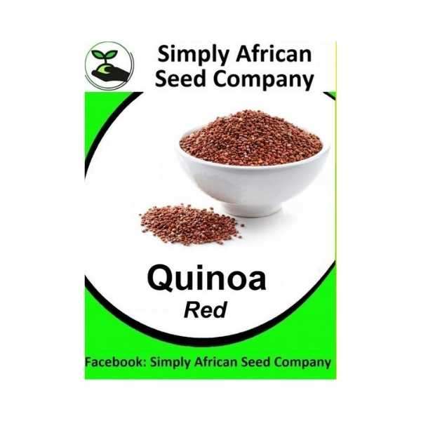 Red Quinoa Seeds