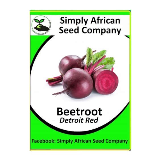 Beetroot, Detroit Dark Red 30's