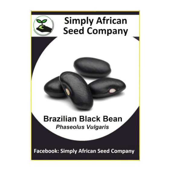 Beans Brazilian Black 15's